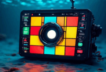 文档关键信息的准确性验证。-Raccoon