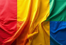 分析与改进数据的质量如何评估？-Raccoon