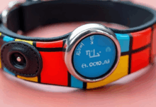 数据关键信息如何应用于决策？-Raccoon