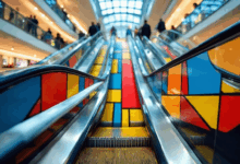 AI视频分析在交通管理中的应用-Raccoon