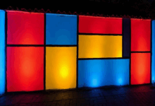 AI数据洞察在医疗行业的应用-Raccoon