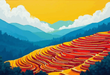 网络数据分析中的DDoS防护？-Raccoon