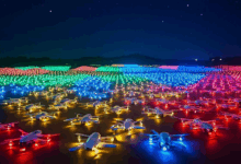 商务智能分析如何帮助企业优化成本？-Raccoon