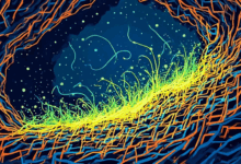 分析与改进数据时如何设定优先级？-Raccoon