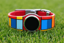 宏观分析数据对行业趋势预测的价值是什么？-Raccoon