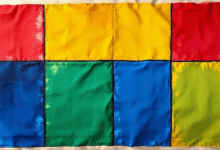 数据特征分析如何应用于金融风控？-Raccoon