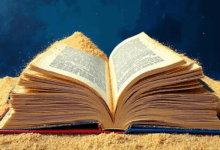 宏观分析中通胀指标的影响-Raccoon