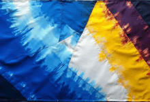 数据特征分析的降维技术应用-Raccoon