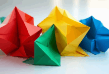 商务数据与分析的跨行业应用-Raccoon