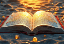 分析与改进数据怎么看？-Raccoon