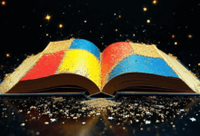 AI视频分析在教育中的应用案例-Raccoon