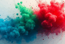 AI数据洞察的决策支持系统构建-Raccoon