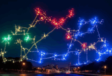 数据简介的目标受众是谁-Raccoon