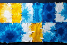 数据特征分析如何应用于信用评分-Raccoon