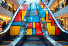 分析与改进数据的自动化报告？-Raccoon