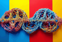 AI分析数据的计算资源如何分配？-Raccoon