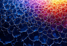 数据洞察的叙事化表达技巧？-Raccoon