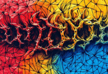 宏观分析对投资决策的影响有哪些?-Raccoon