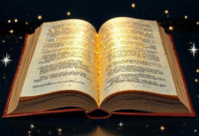 大模型在数据分析中的局限性？-Raccoon