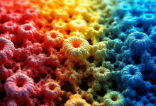 AI如何辅助个性化学习推荐？-Raccoon