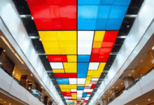 个人知识库的迁移与备份策略-Raccoon