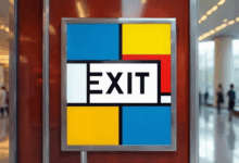 个性化方案生成如何适应快速迭代需求？-Raccoon