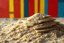 如何通过知识管理提高决策效率？-Raccoon