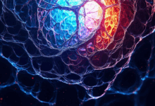 知识检索的个性化排序策略？-Raccoon