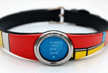 如何利用AI技术进行文档的自动摘要和提取？-Raccoon