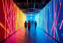 安全数据库的量子加密技术前瞻-Raccoon