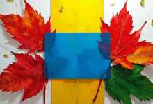 私密知识库的区块链技术有哪些应用?-Raccoon