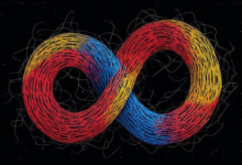 知识检索技术如何应对多语言需求？-Raccoon