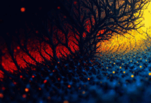 知识管理工具如何提升个性化方案生成质量？-Raccoon