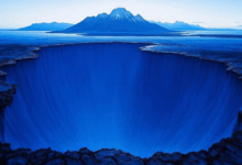 如何设计知识库的反馈改进系统?-Raccoon