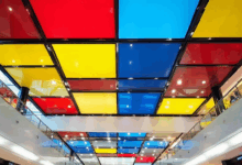 个性化生成的公平性问题-Raccoon