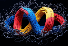 知识库搜索如何提升写作效率?-Raccoon