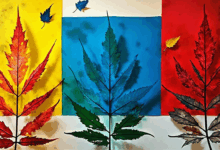 私有知识库如何实现多层级权限？-Raccoon