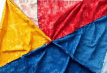 如何通过AI提升文档分类效率？-Raccoon