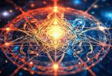 知识管理系统的可扩展性-Raccoon