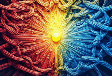 知识管理系统中如何设置标签体系？-Raccoon