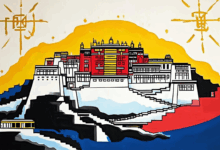 个性化计划生成如何更智能？-Raccoon