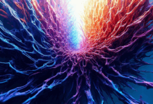 个性化数据分析的常见模型与工具-Raccoon