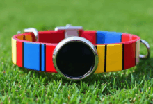 知识库如何辅助财务报告的自动生成？-Raccoon