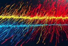 如何利用AI知识库进行个性化健康管理?-Raccoon