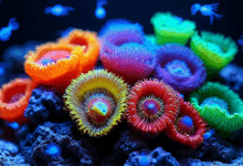 AI知识库如何应对高并发访问？-Raccoon