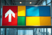 个性化计划生成如何优化资源分配？-Raccoon