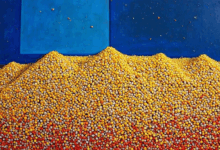 个性化信息分析在市场营销中的作用-Raccoon