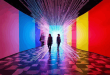 私有知识库的数据迁移要注意什么？-Raccoon