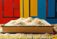 知识库如何支持语音交互?-Raccoon