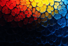 知识库检索如何优化长尾关键词匹配？-Raccoon